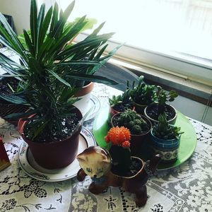 Meet your Posher, Wendy